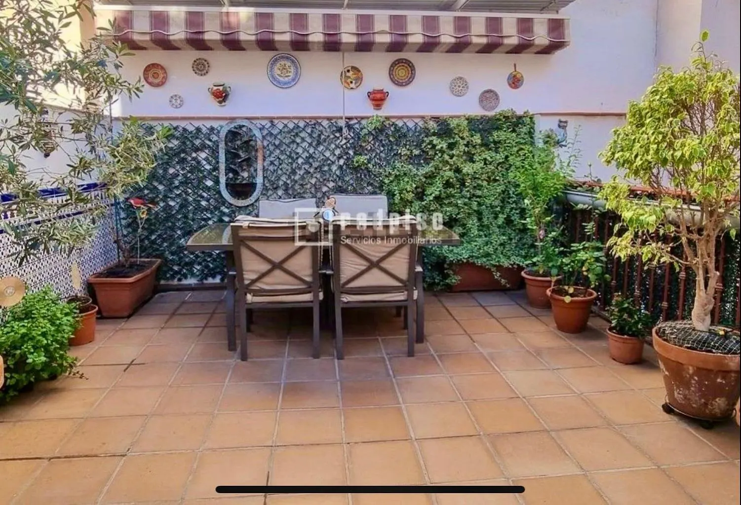 Maravilloso Apartamento Centrico De 70M2, Jardin Propio 40M2 Con Piscina Para Ninos Y Parking Opcional Málaga